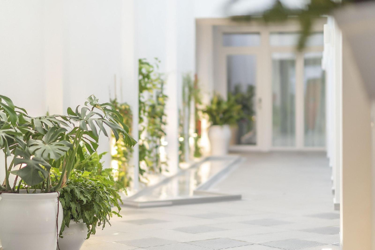 Alzocaire Hostal Boutique