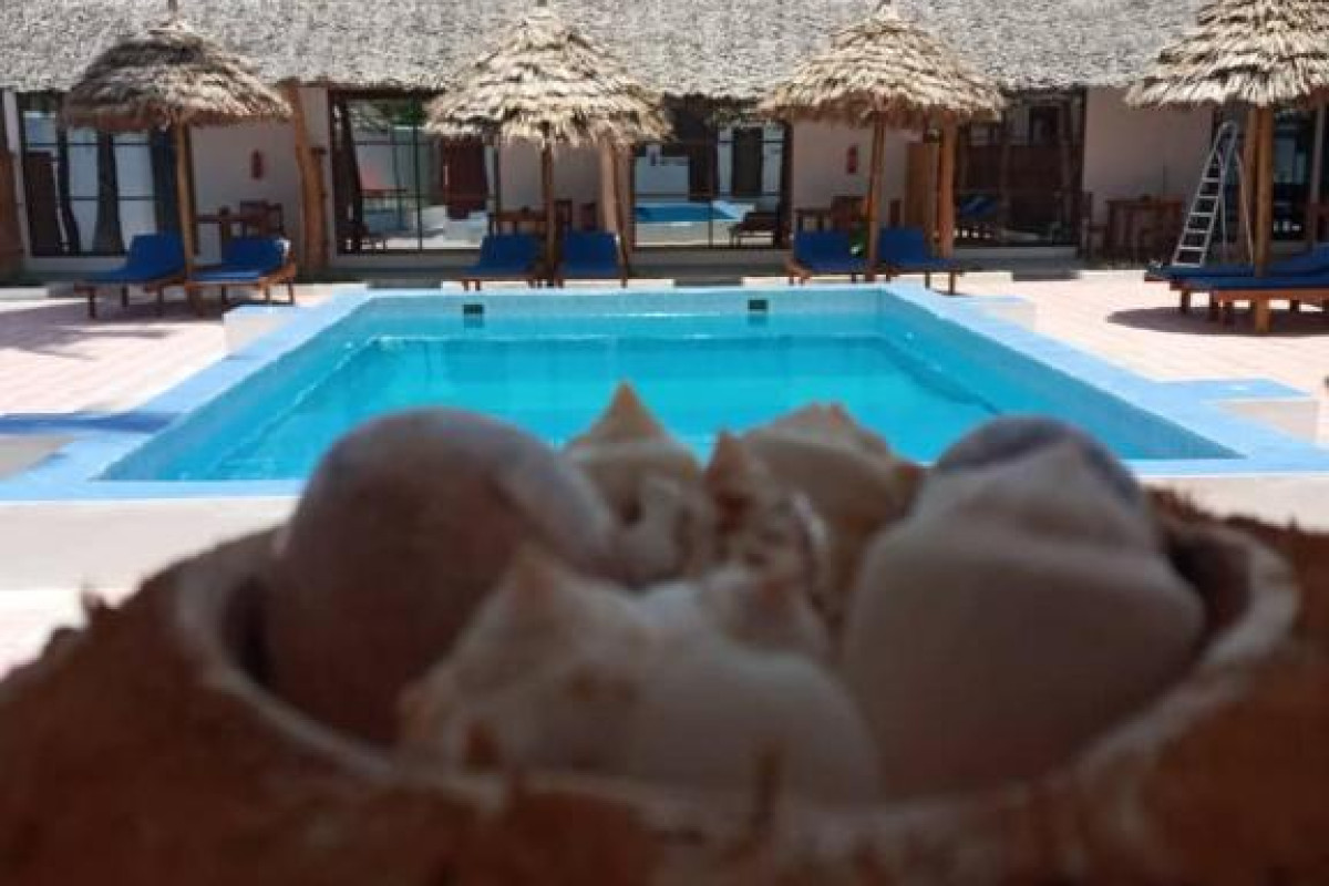 Amani Hotel Paje