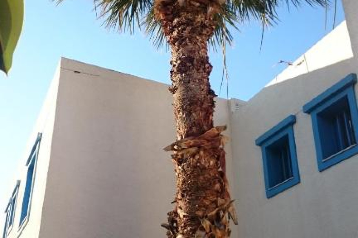 Amazones Villas Apartments