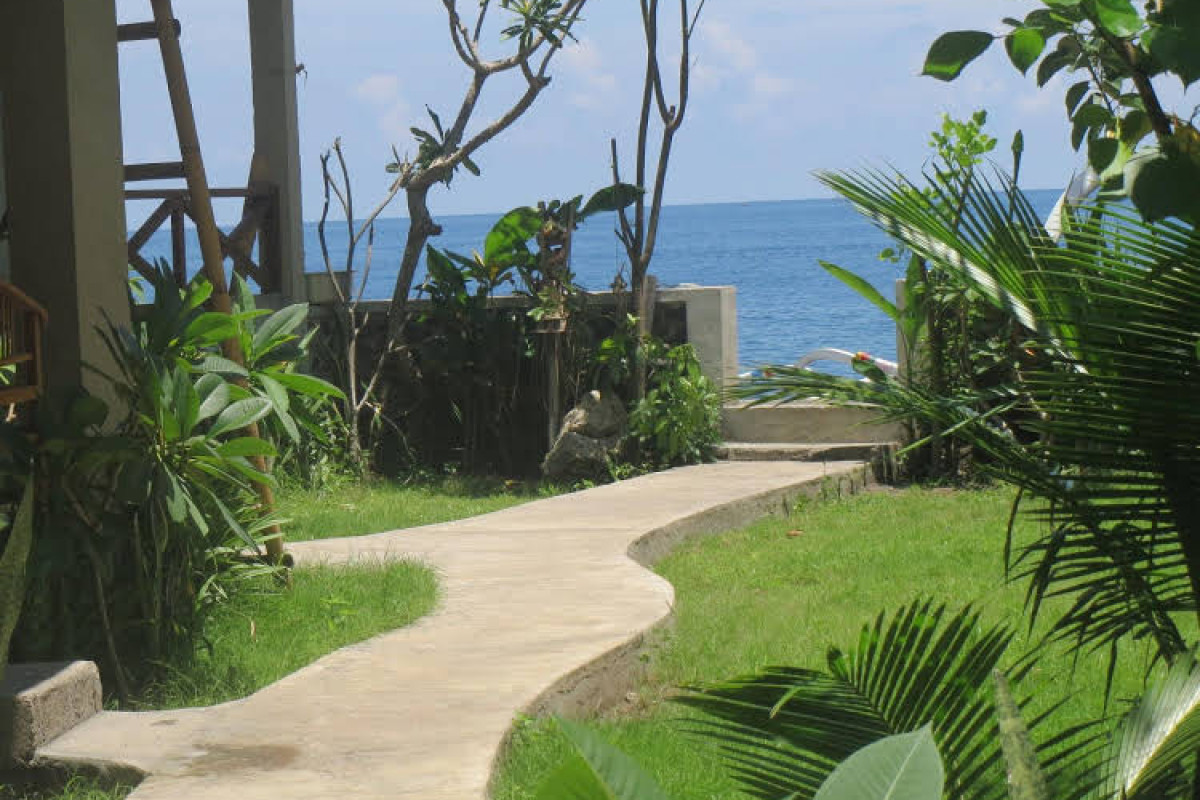 Amed Sari Beach Guesthouse