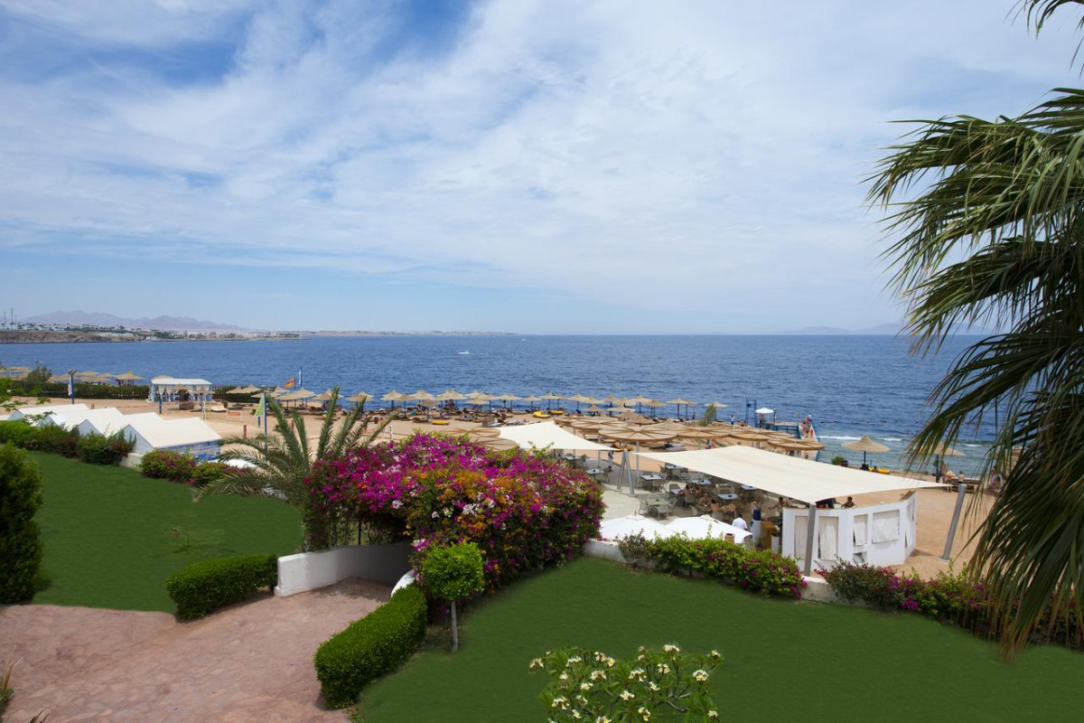 Amphoras Blu Resort - Adult Only 16+ (ex Shores Aloha Sharm)