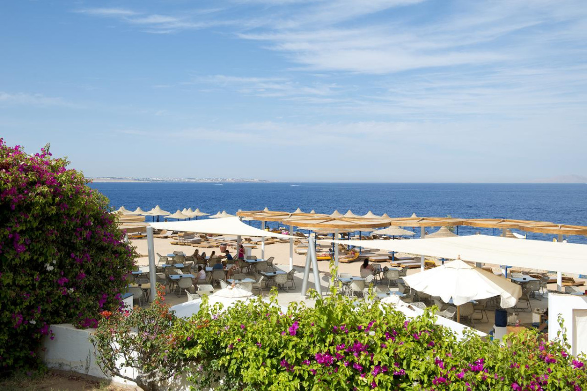 Amphoras Blu Resort - Adult Only 16+ (ex Shores Aloha Sharm)