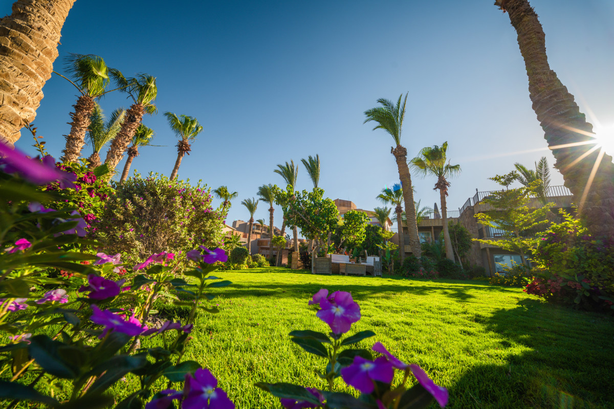 ananea Hurghada