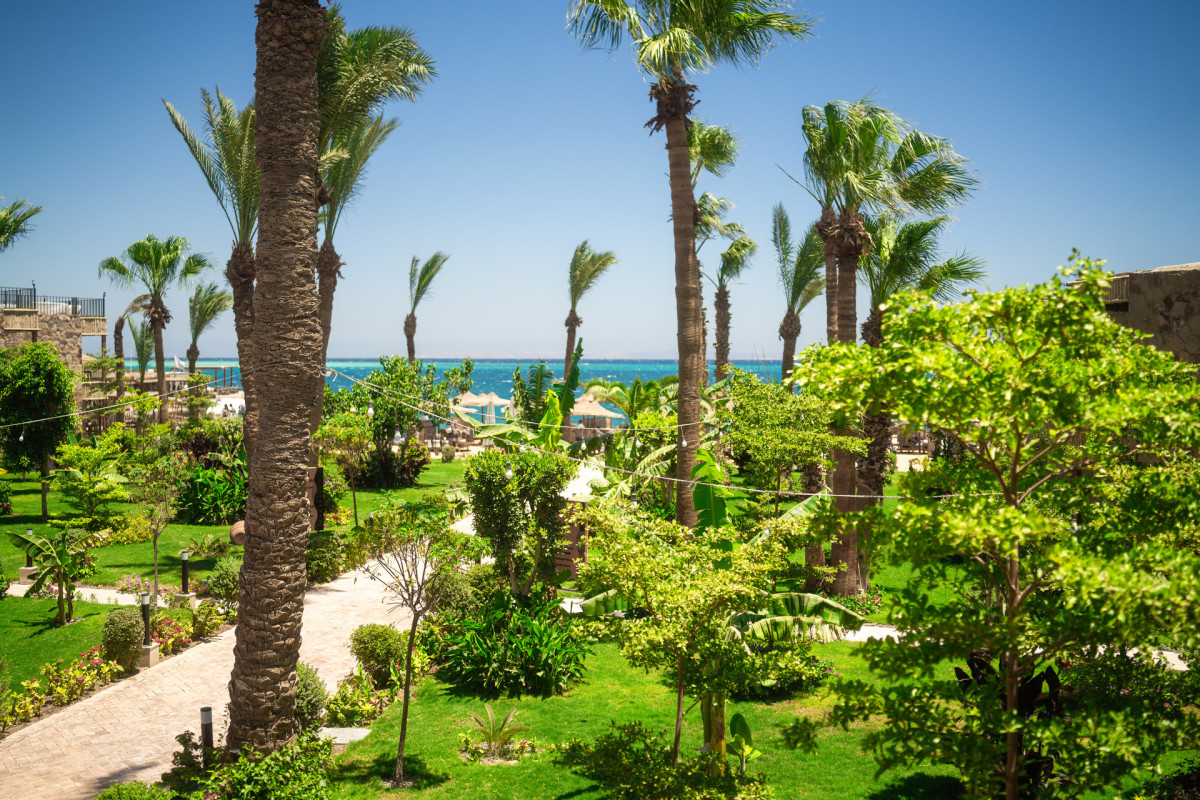 ananea Hurghada