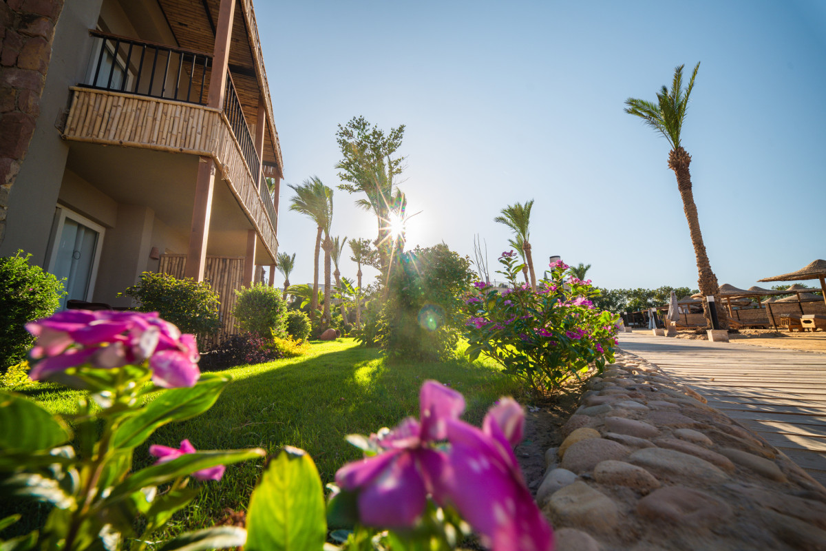ananea Hurghada