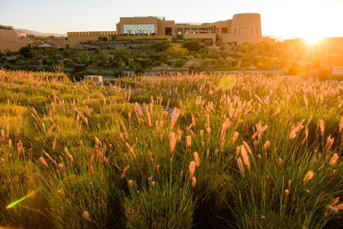 Anantara Al Jabal Al Akhdar Resort