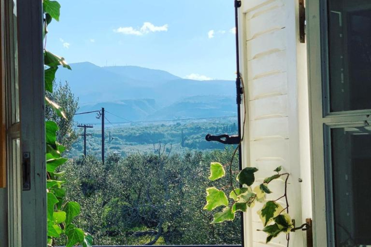 Anastasios Olive Garden Apartments