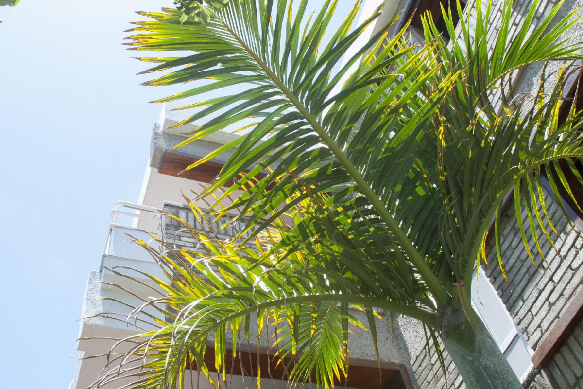APARTAMENTOS EL PASEO