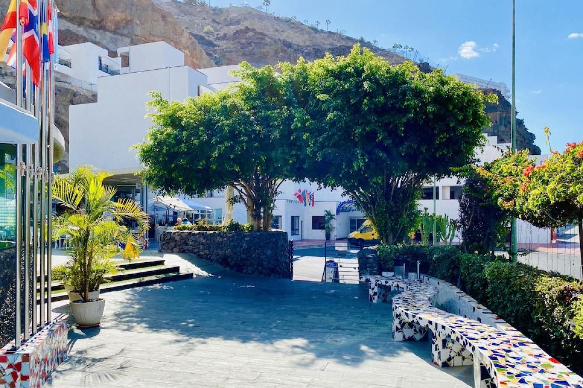 Apartamentos Gran Amadores