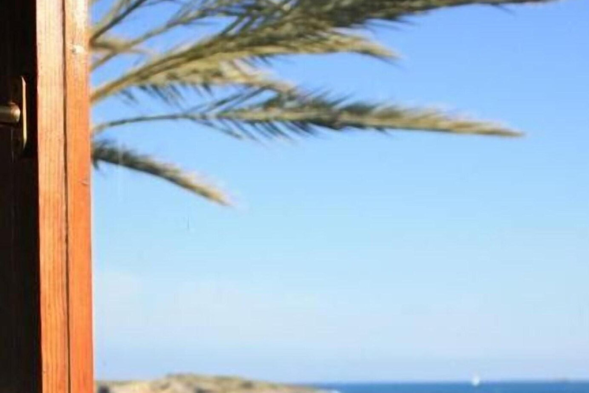 Apartamentos Llevant