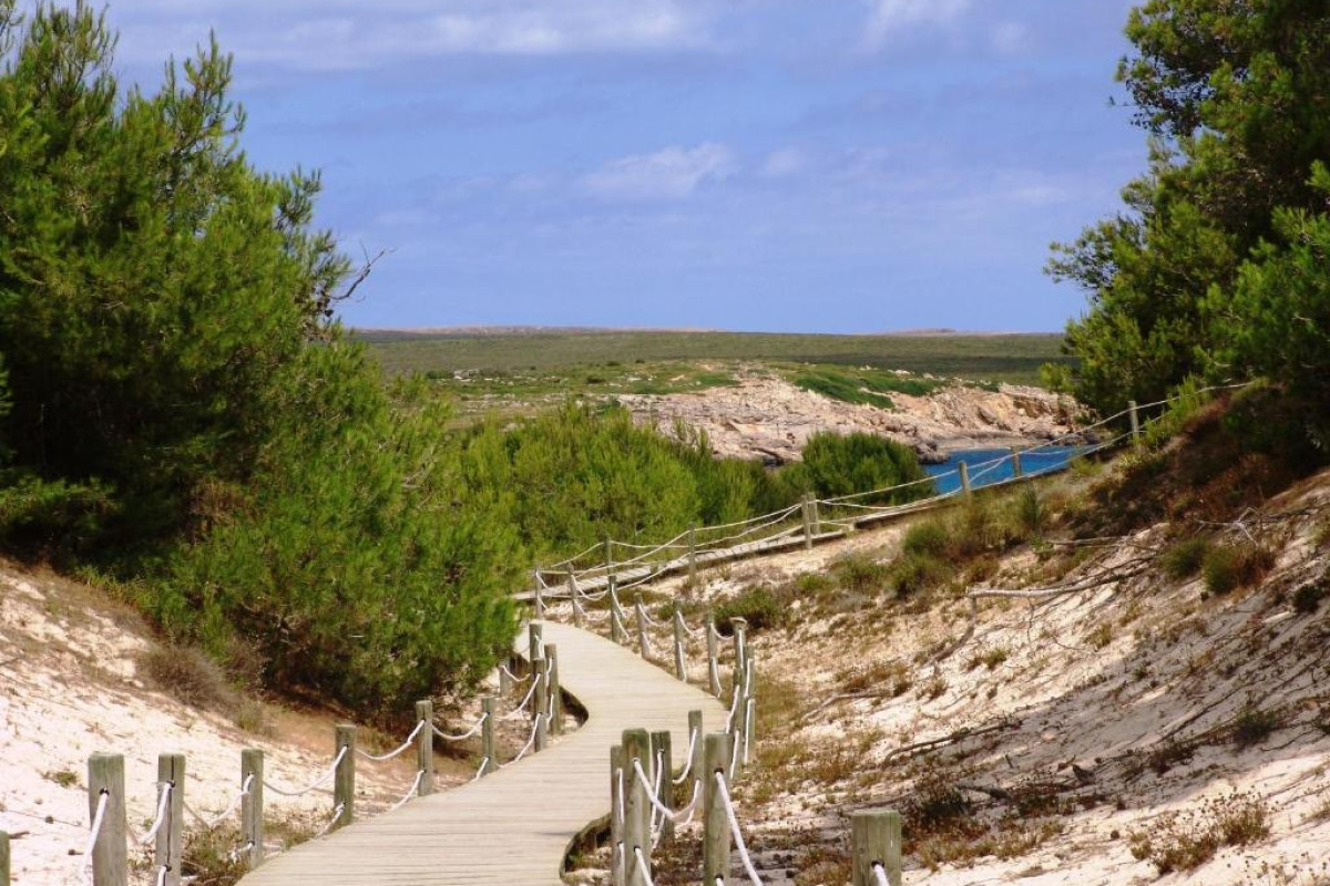 Apartamentos Posidonia