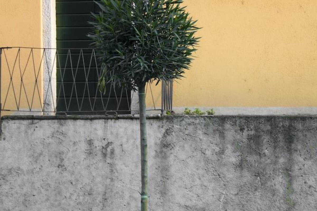 Appartamenti Brunati Street 6