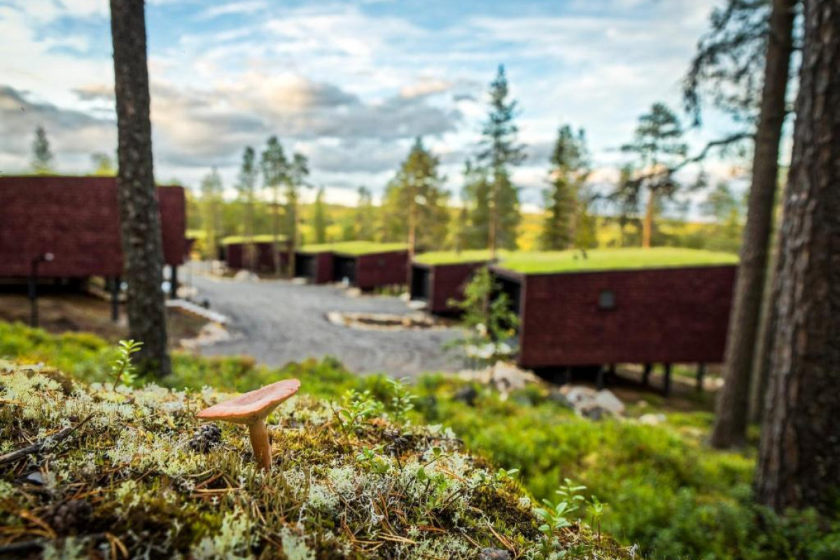Arctic TreeHouse Hotel
