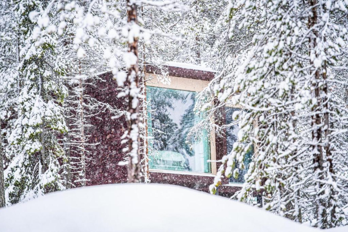 Arctic TreeHouse Hotel