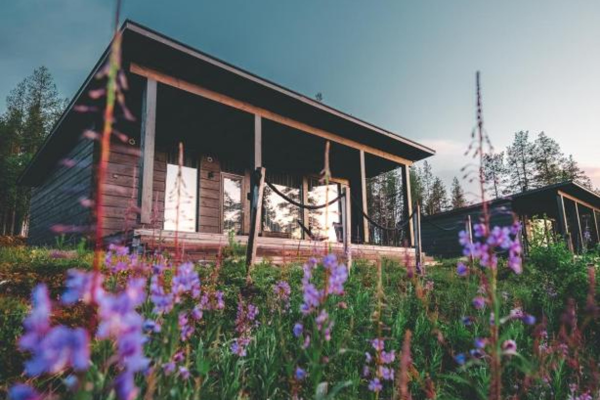 Arctic TreeHouse Hotel