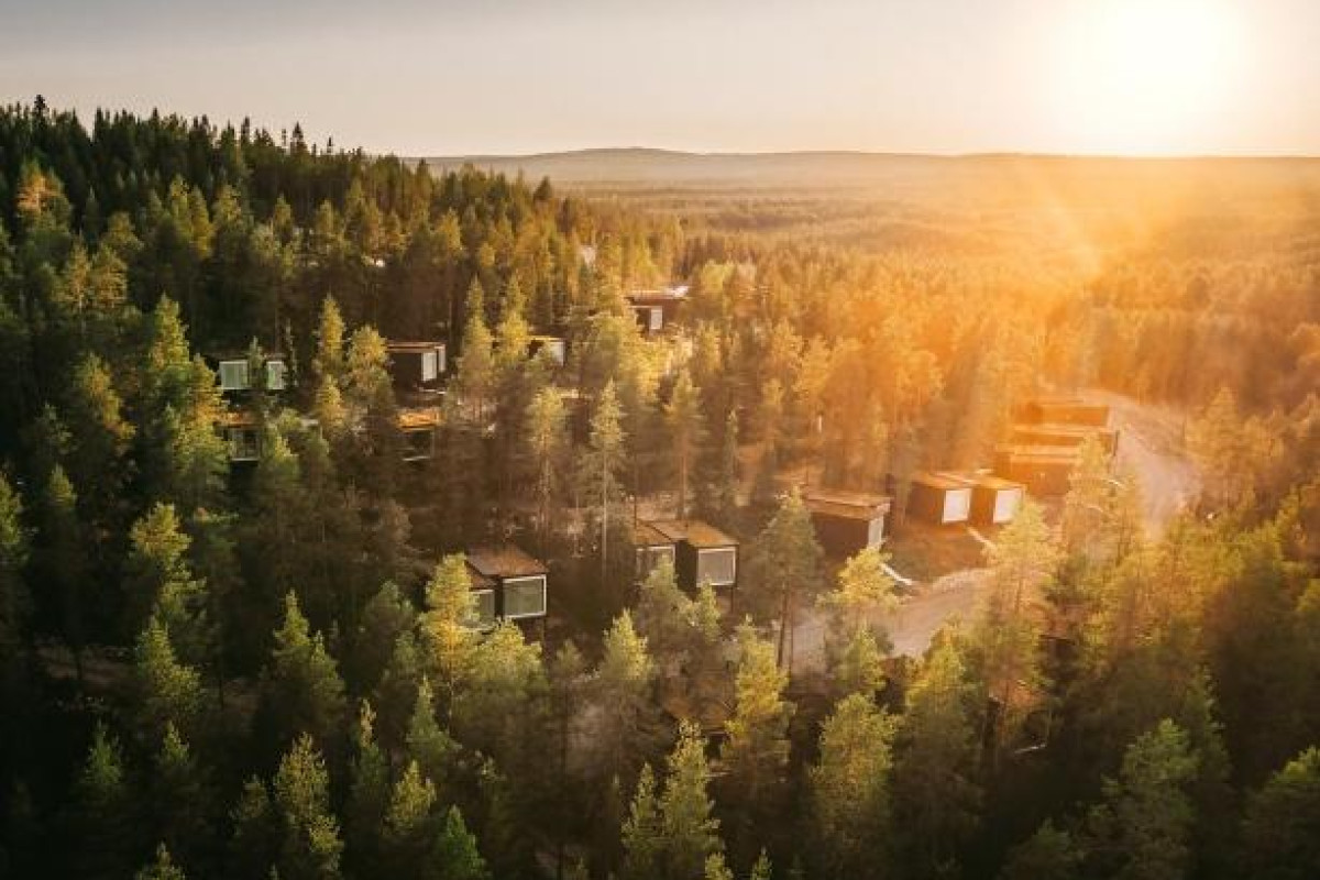 Arctic TreeHouse Hotel