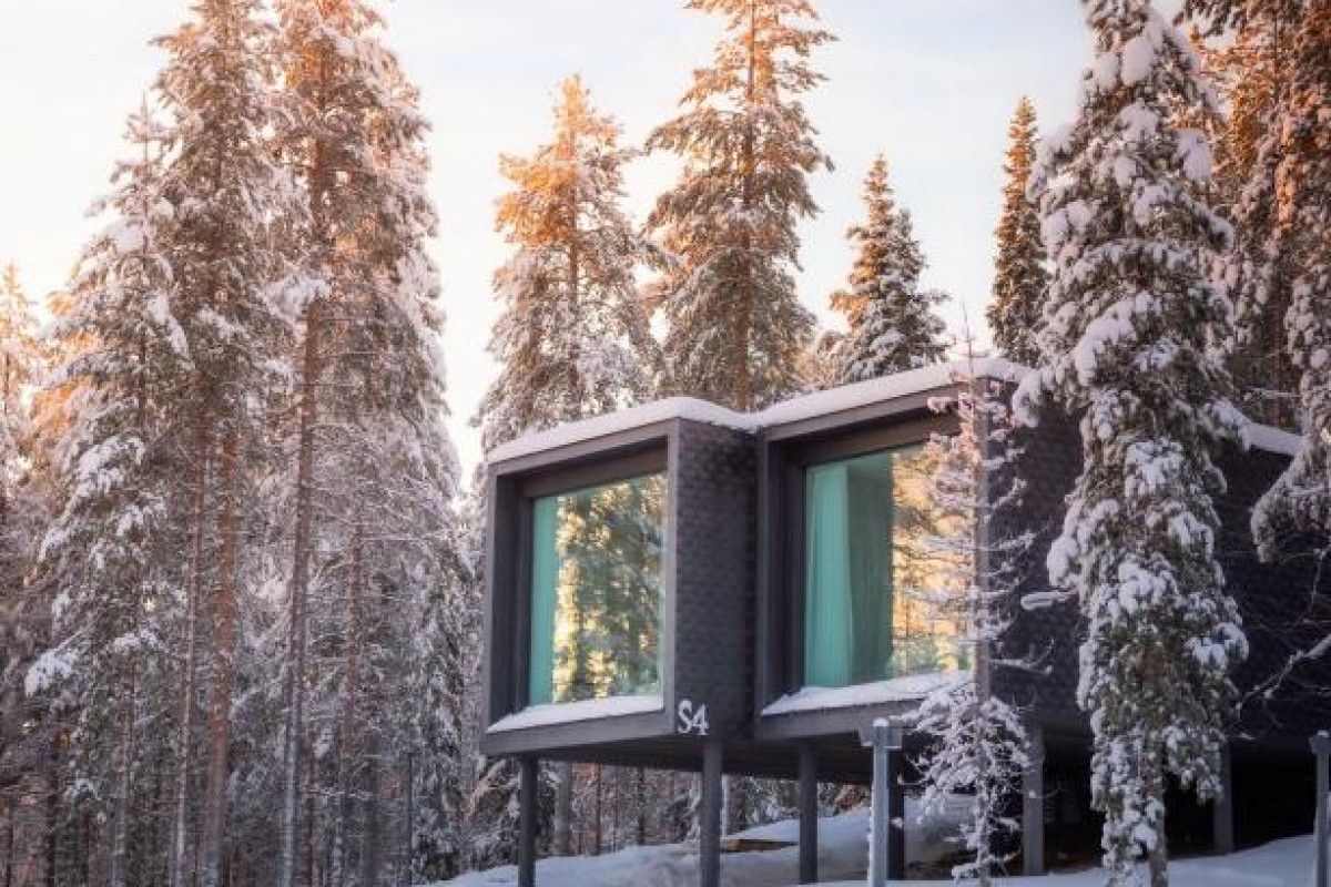 Arctic TreeHouse Hotel