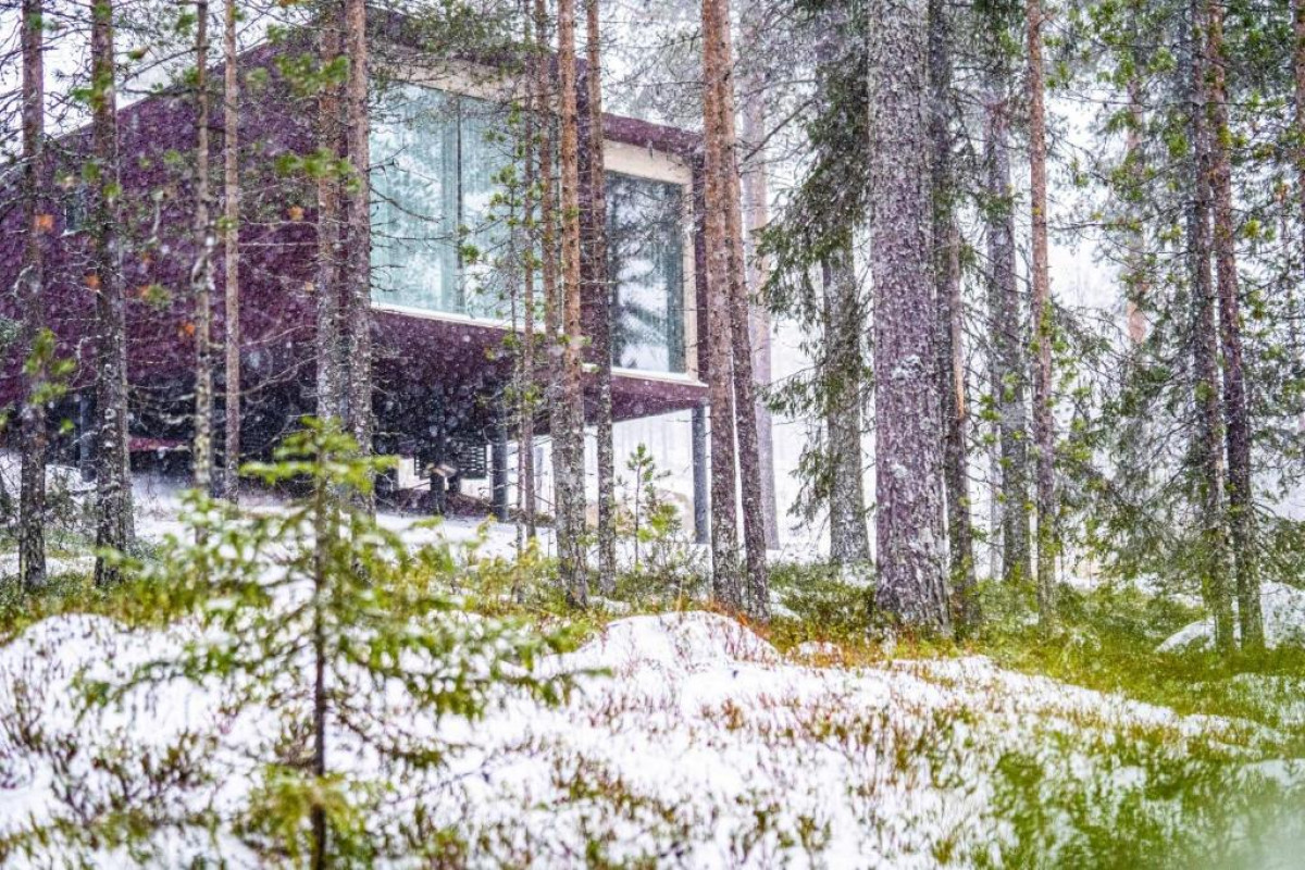 Arctic TreeHouse Hotel