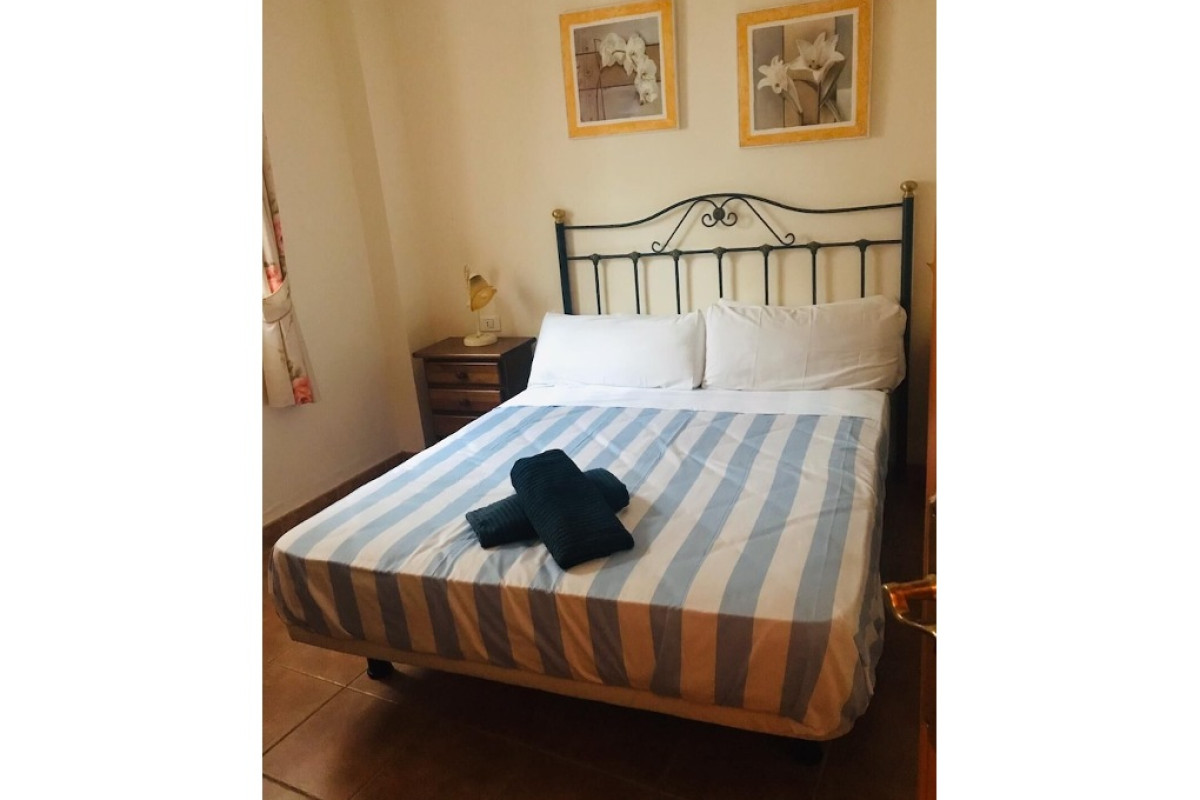 Arena Nest Hostel