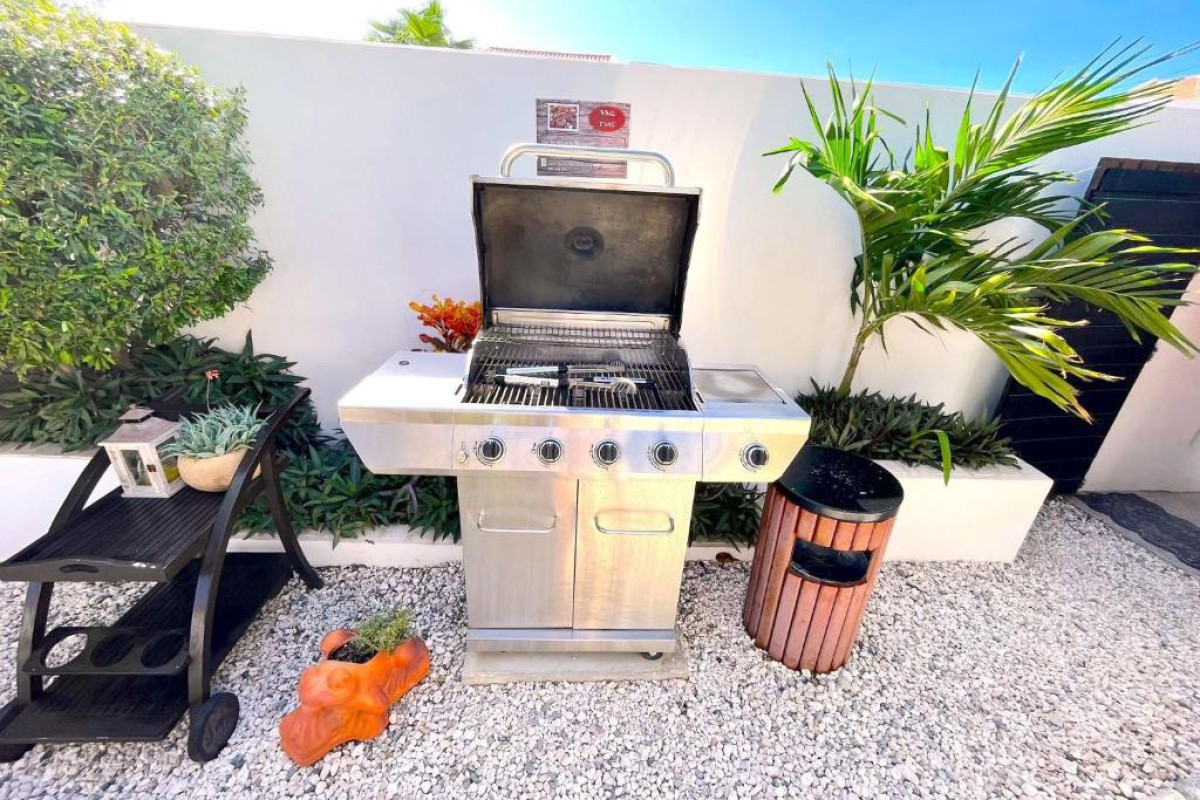 Aruba Lagunita