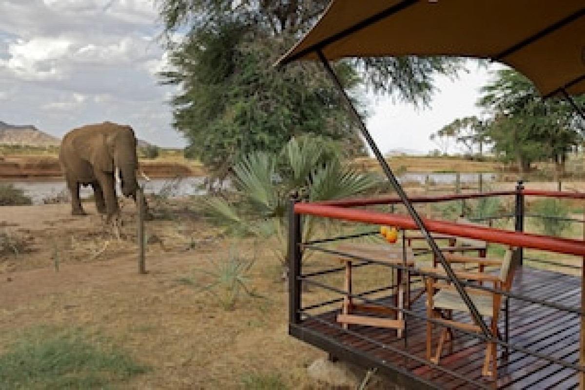 ASHNIL SAMBURU CAMP