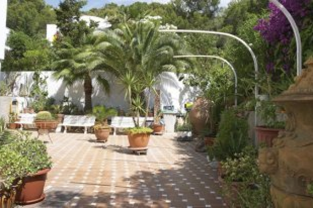 Atalaya Bosque