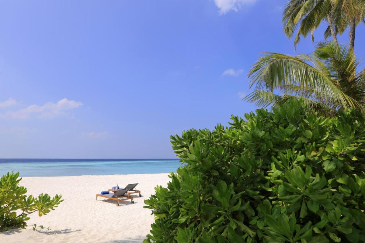 Avani+ Fares Resort Maldives