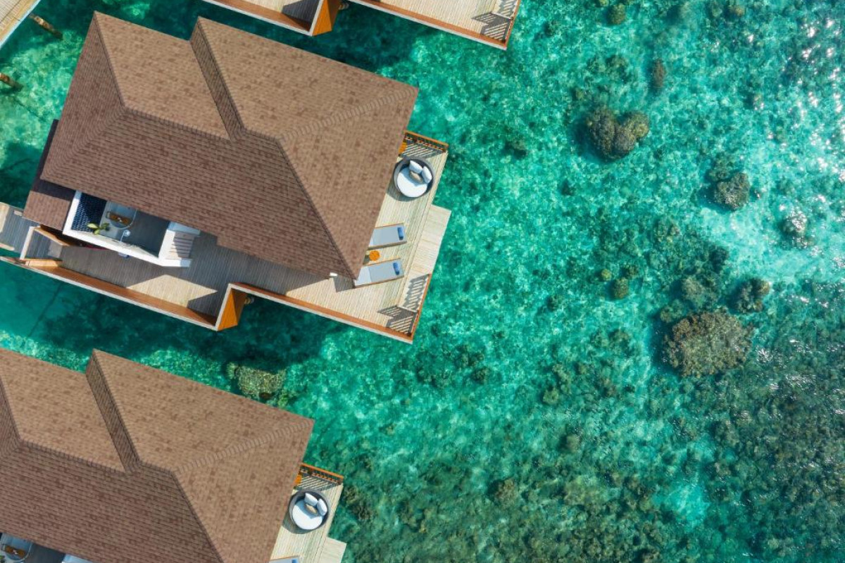 Avani+ Fares Resort Maldives