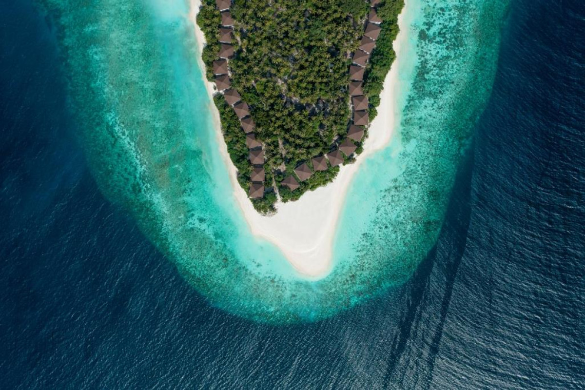 Avani+ Fares Resort Maldives