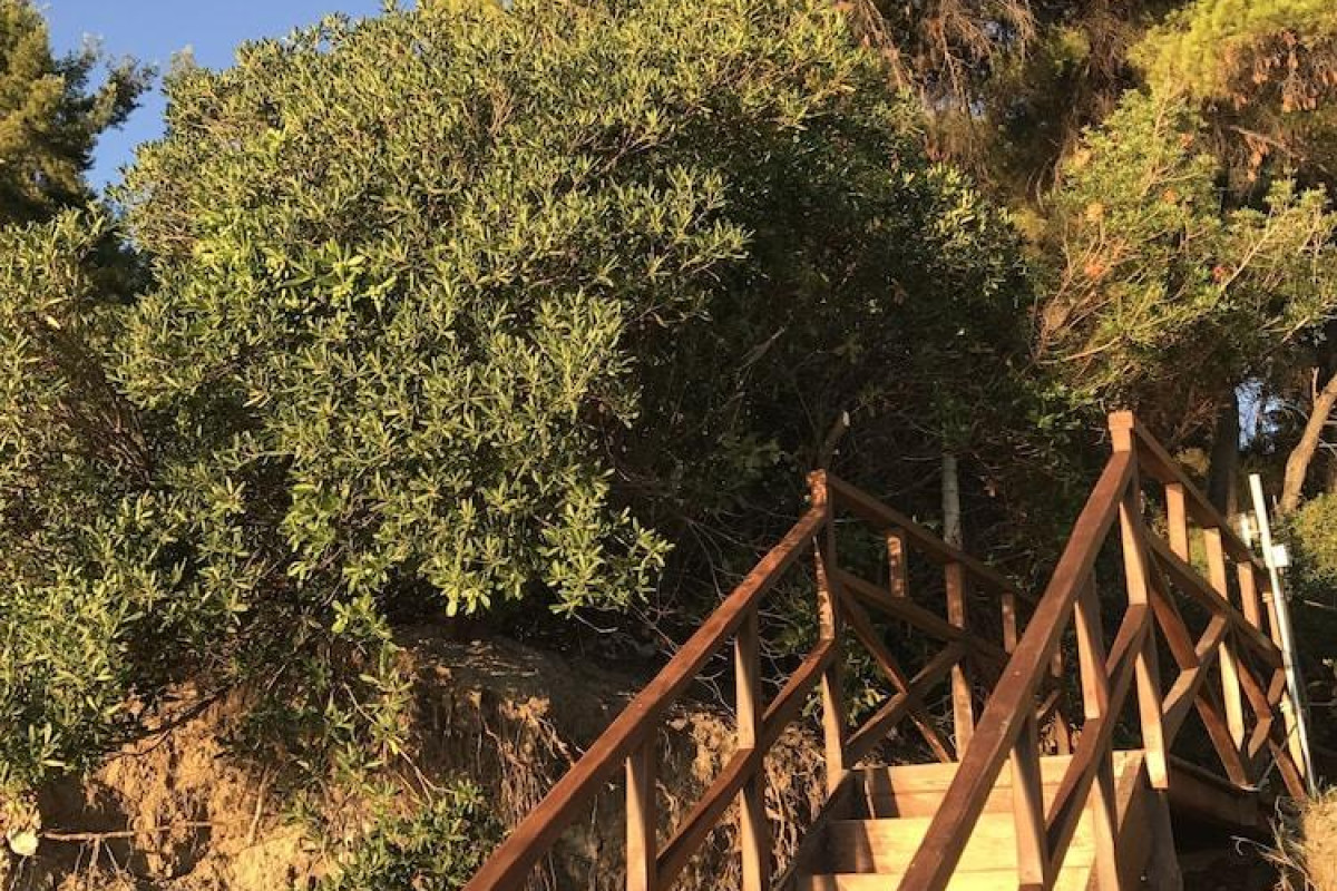 Avatel Eco Lodge