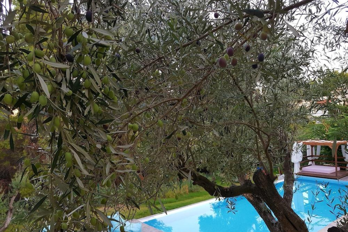 Avatel Eco Lodge