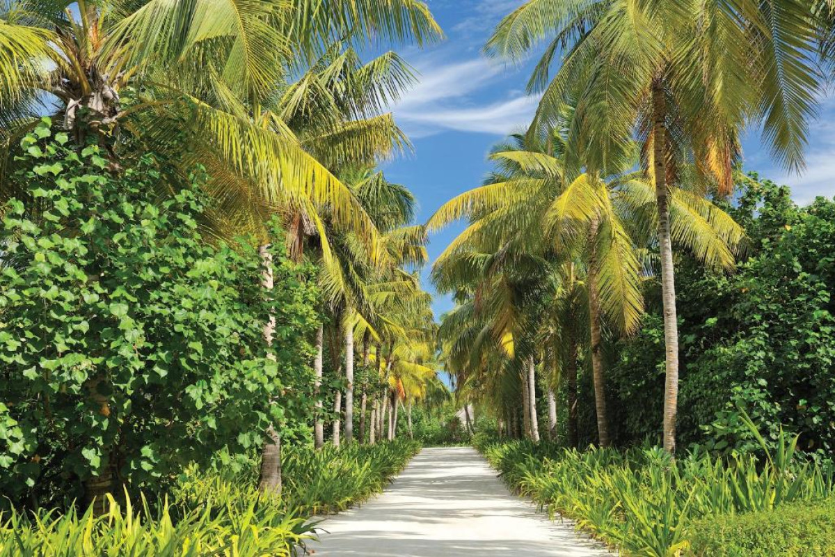 Ayada Resort Maldives