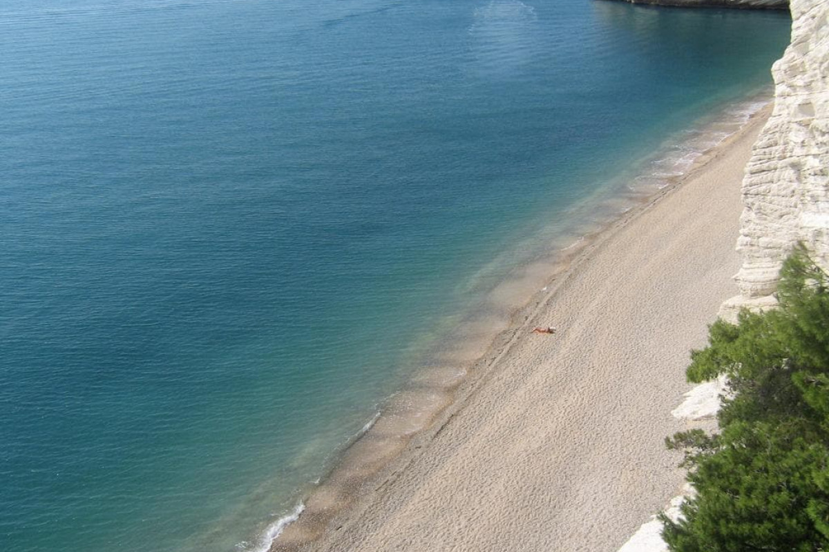 B & B Torre Saracena
