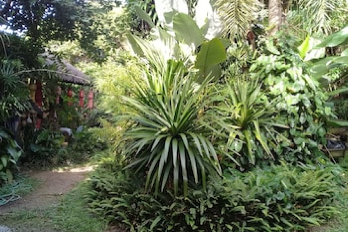 BAAN SUAN JANTRA HOME STAY