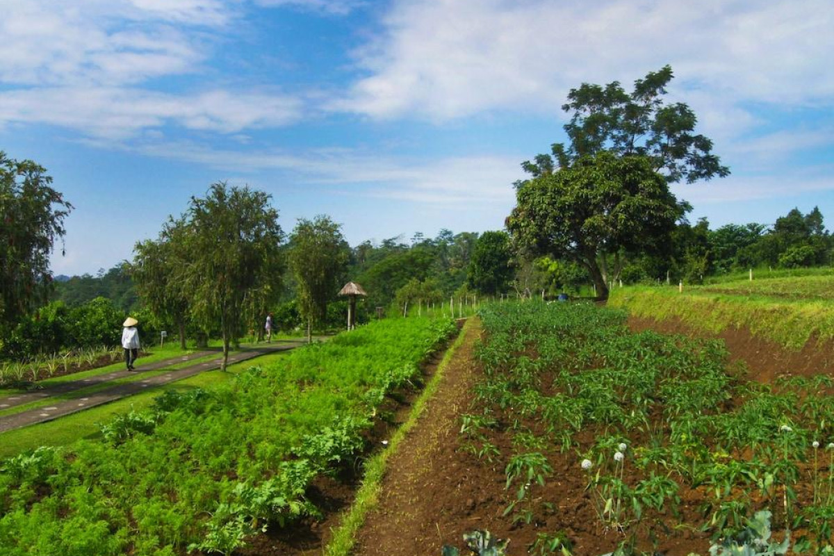 Bagus Agro Pelaga