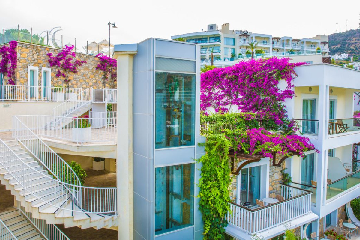 BAIA BODRUM