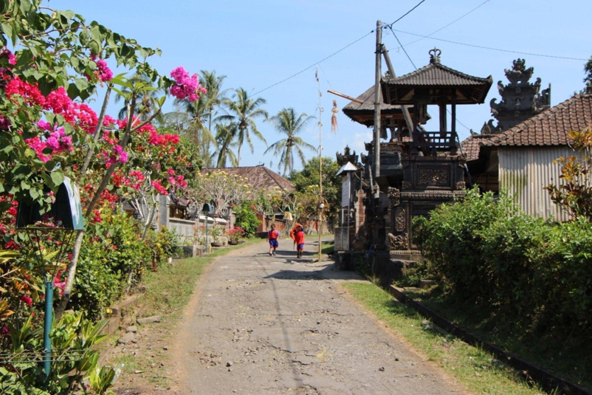 Bali Lush