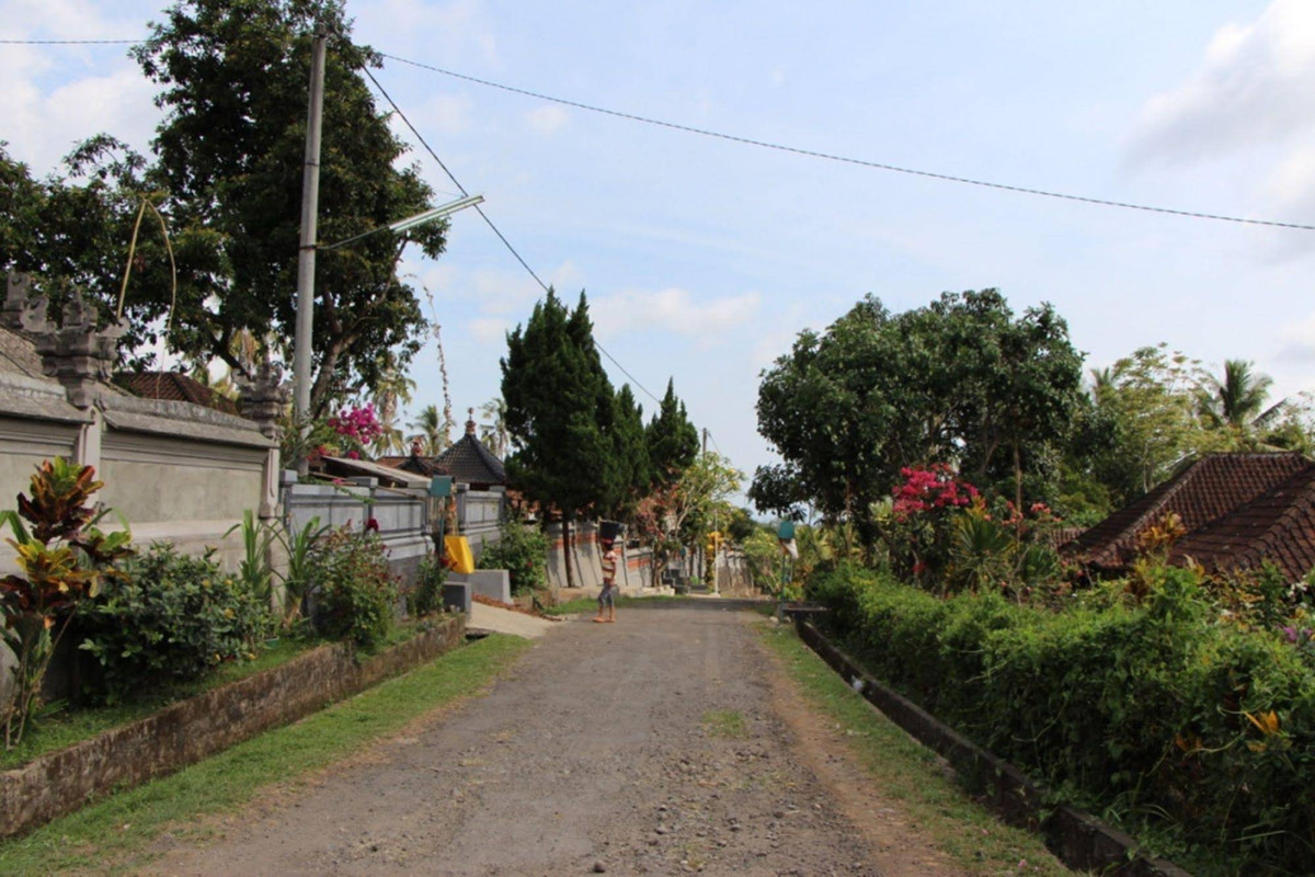 Bali Lush