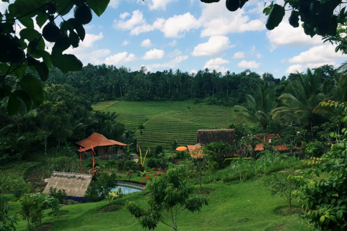 Bali Lush