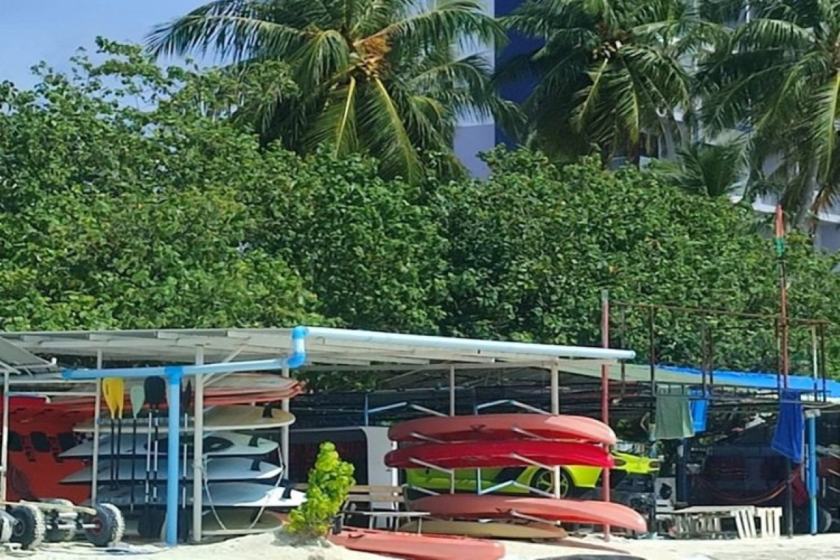 Triton Exotica
