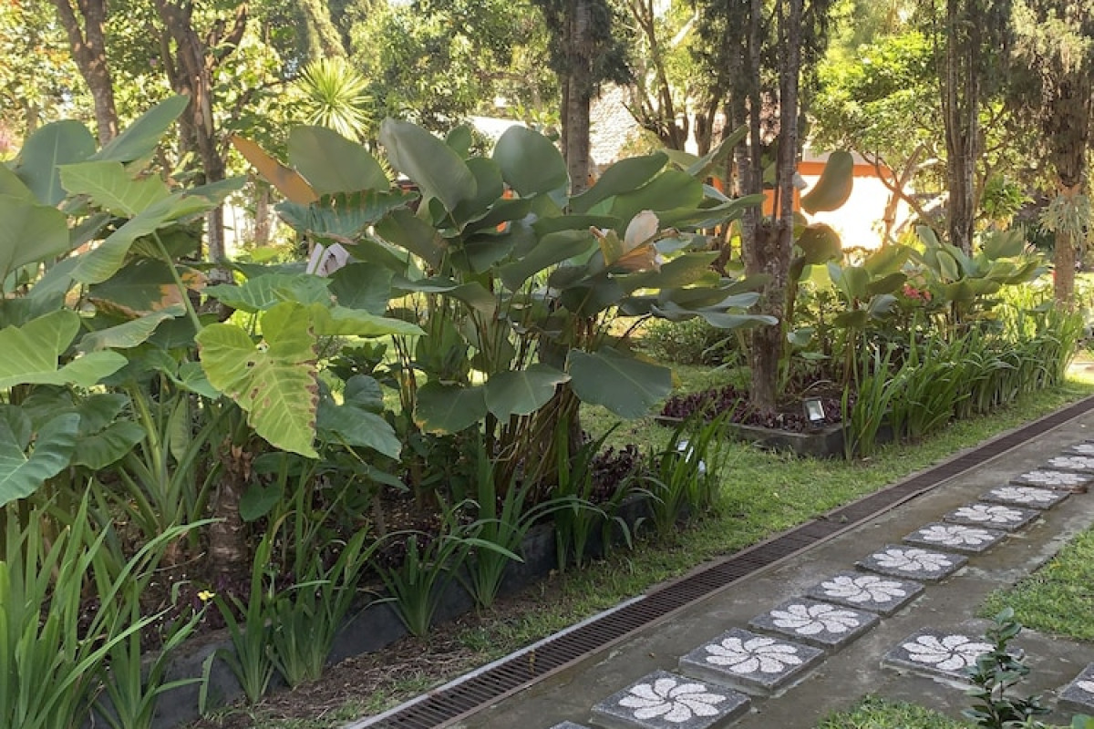 Batur Sunrise Guesthouse