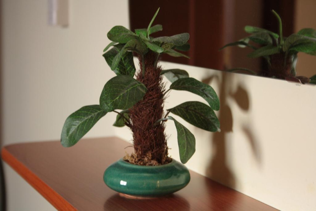 B&B Attico