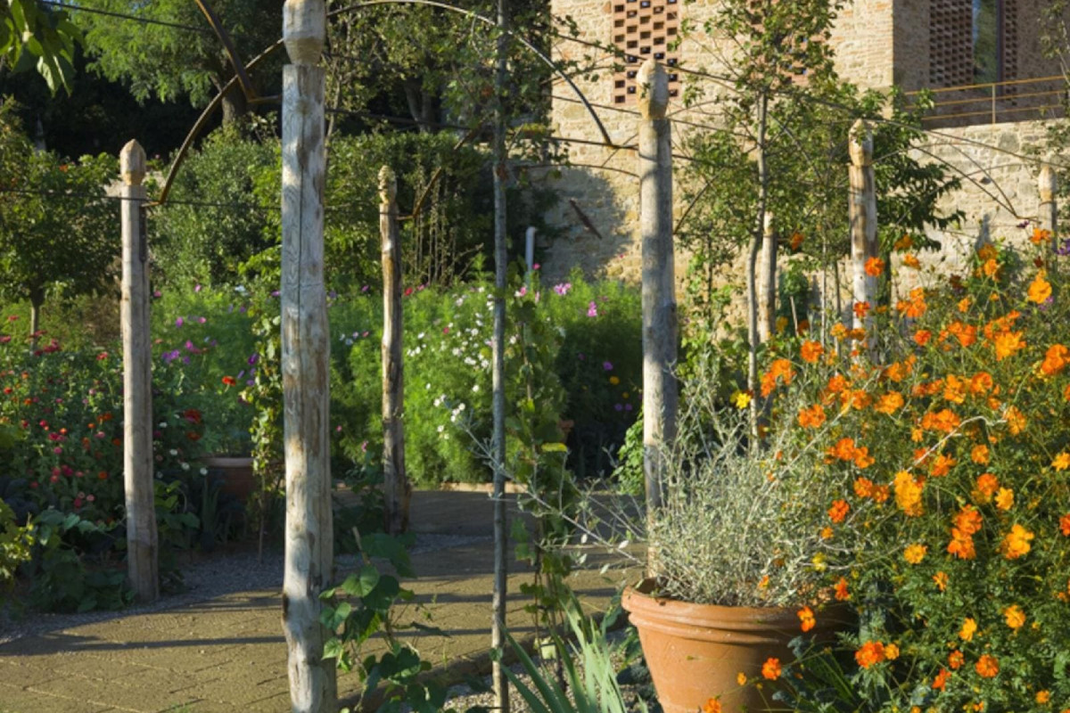 B&B Borgo Petrognano - Residenza D'epoca
