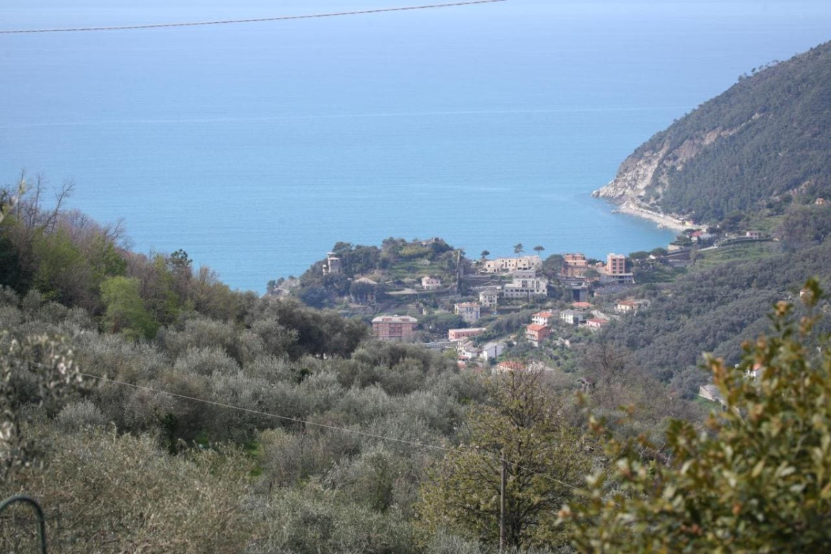 B&B Cà Di Bollo