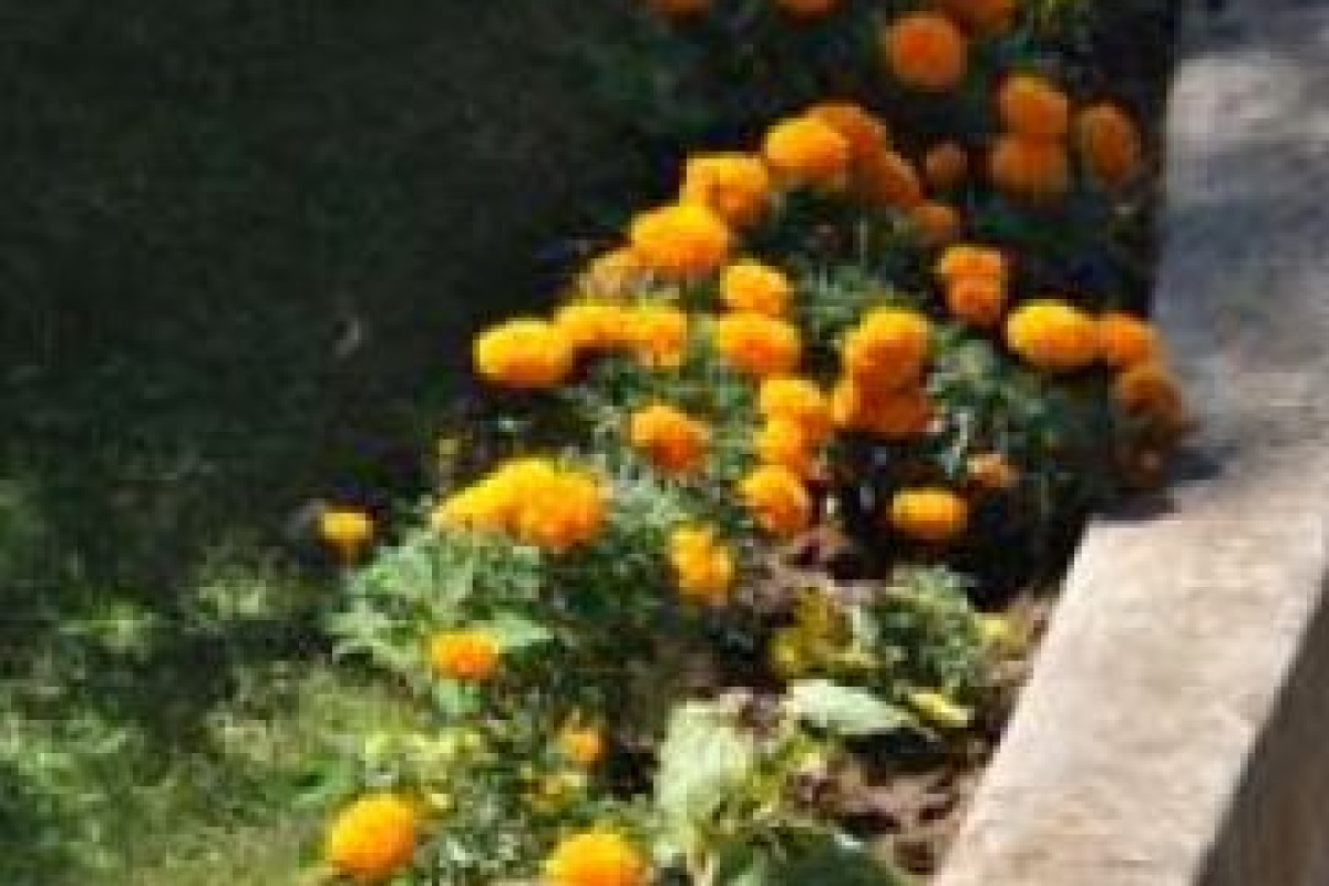 B&B IL SOGNO