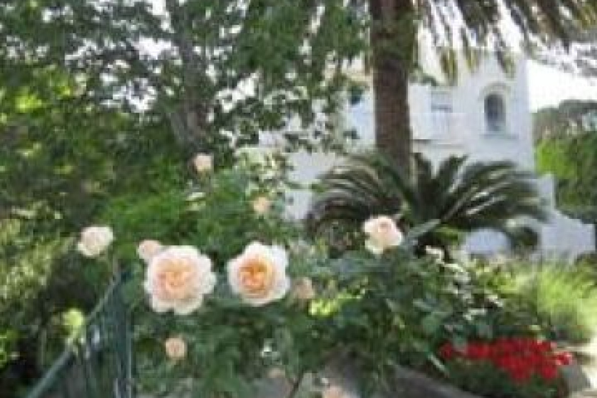 B&B IL SOGNO