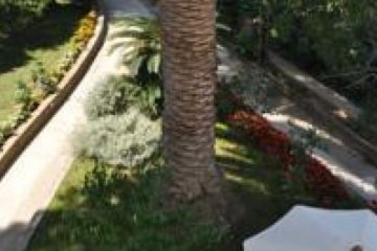 B&B IL SOGNO