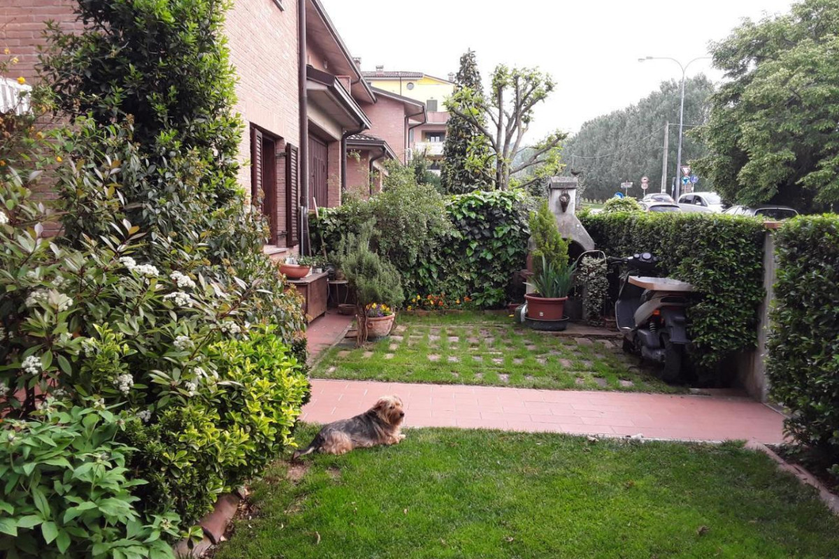 B&B La Rosa Gialla