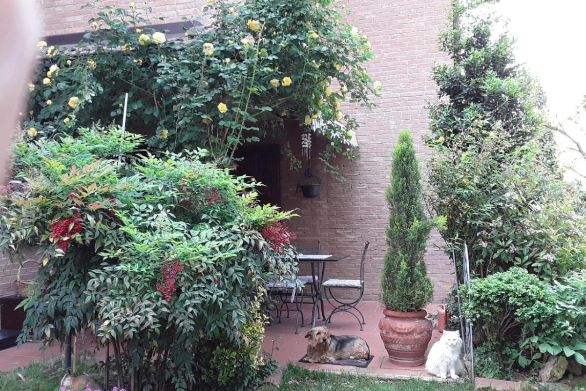 B&B La Rosa Gialla