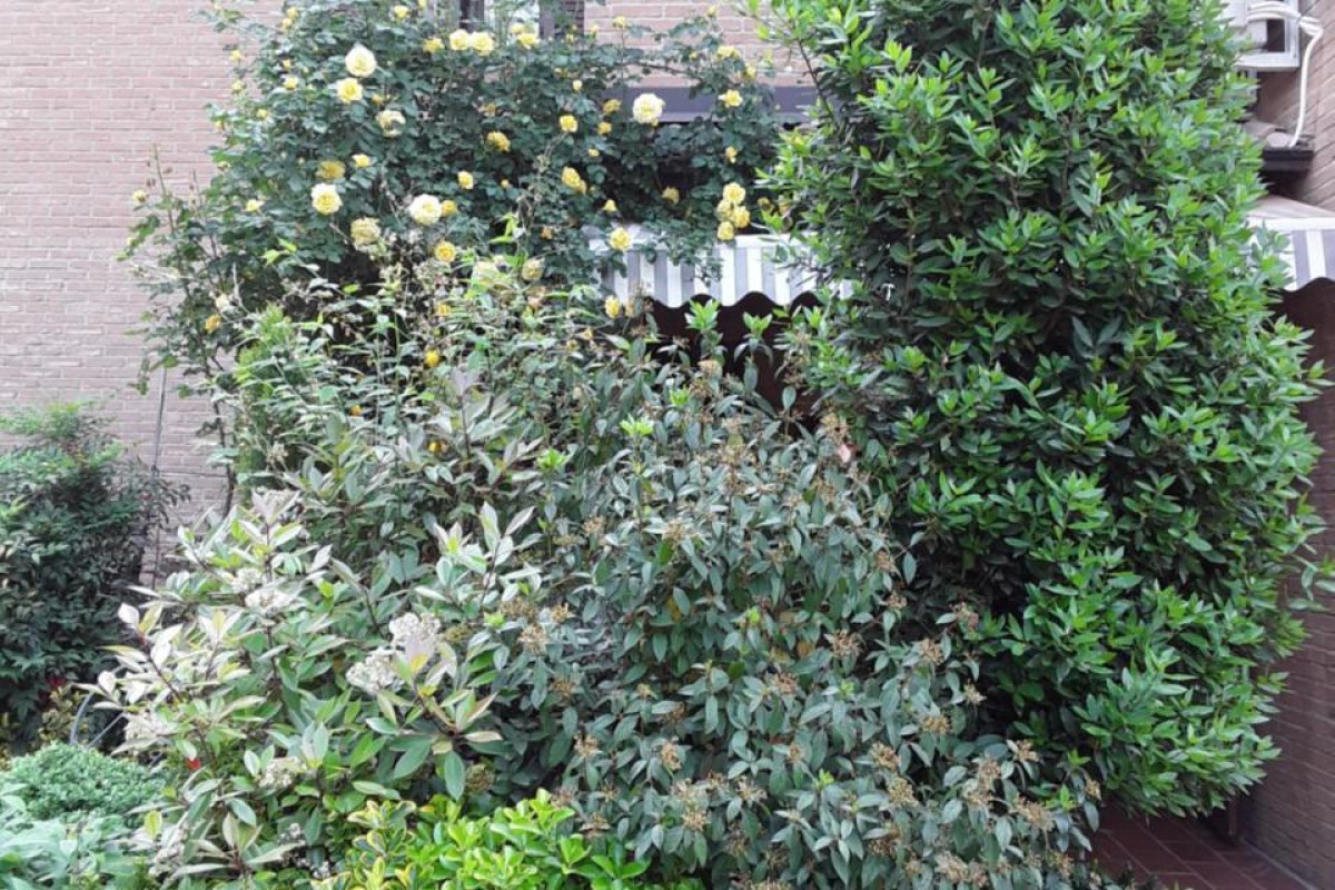 B&B La Rosa Gialla